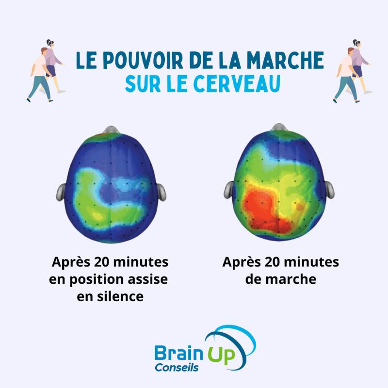 marche et cerveau